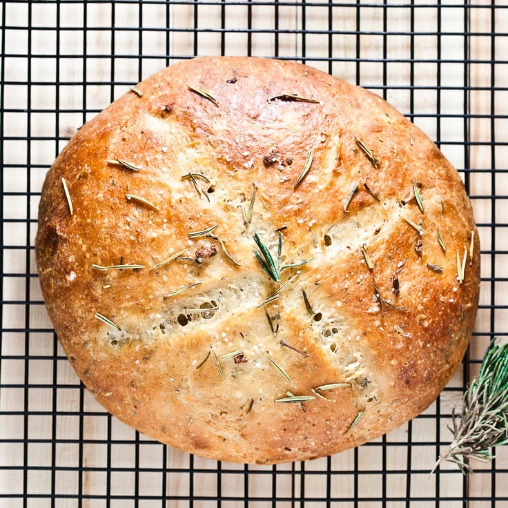 no knead rosemary garlic bread
